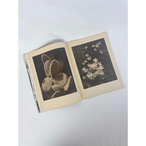 Vintage Ephemera - Arizona Highways Magazine - March 1944 - Mid Century Western - Picture 6 of 11